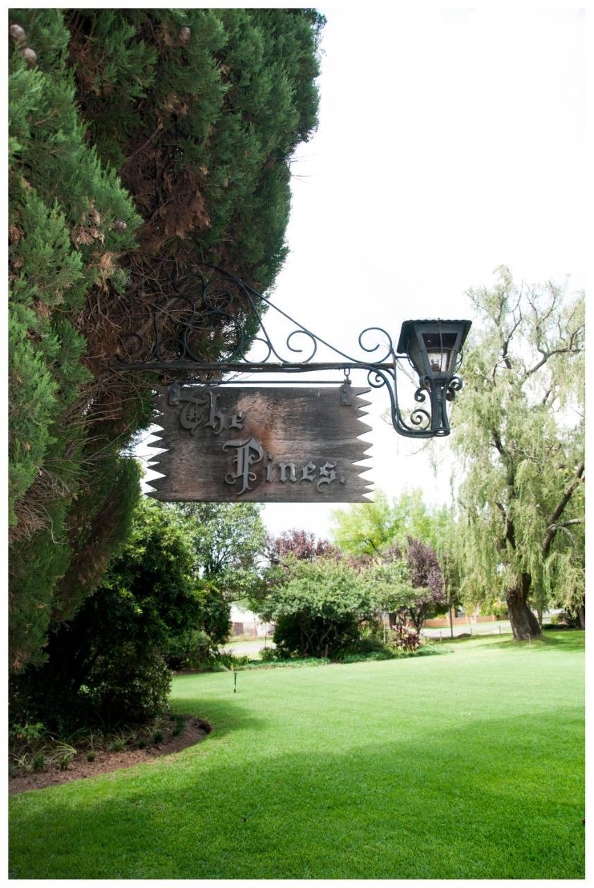 Shady Pines Guest House Harrismith Eksteriør billede